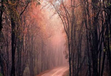 单赛季排名:肖国栋中国第1,世界第5,罗伯逊进.