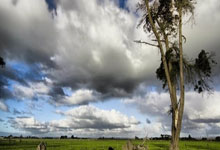 狗子28:联想集团副总裁姚振宇:体育是AI落地的最佳赛道3-22 18:25.