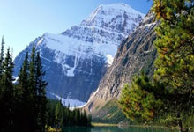 水庆霞团队是否留用待定 中国女足帅位面临三种选择北京青年报.