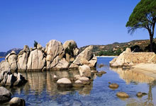 狗子28:美到极致!浙江啦啦队版李羲承进行曲 堪称啦啦队界的天花板!.